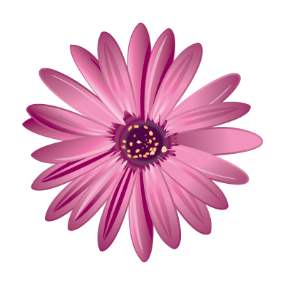 Bloom Beauty Logo